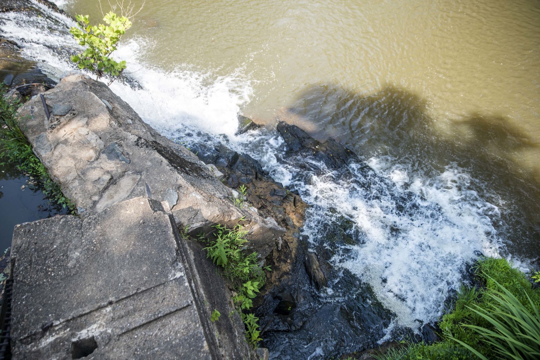 Welcome Home, Stonewall Mill